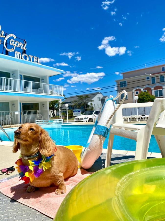 Isle Of Capri Motel North Wildwood Exteriör bild